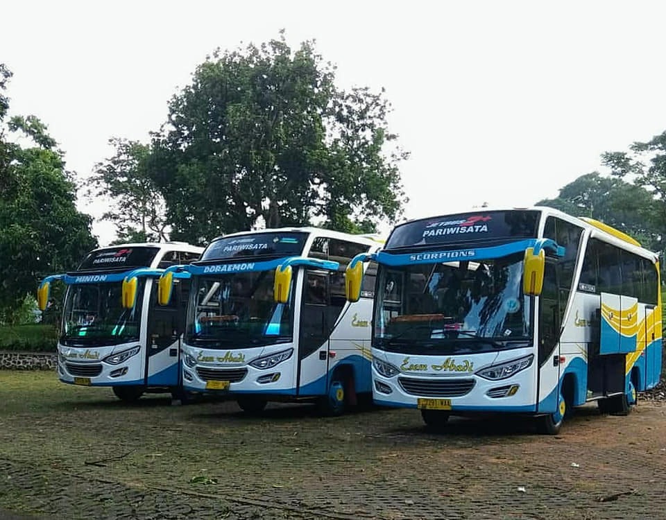 Big Bus pariwisata – Kapasitas 43/47/59 Seats